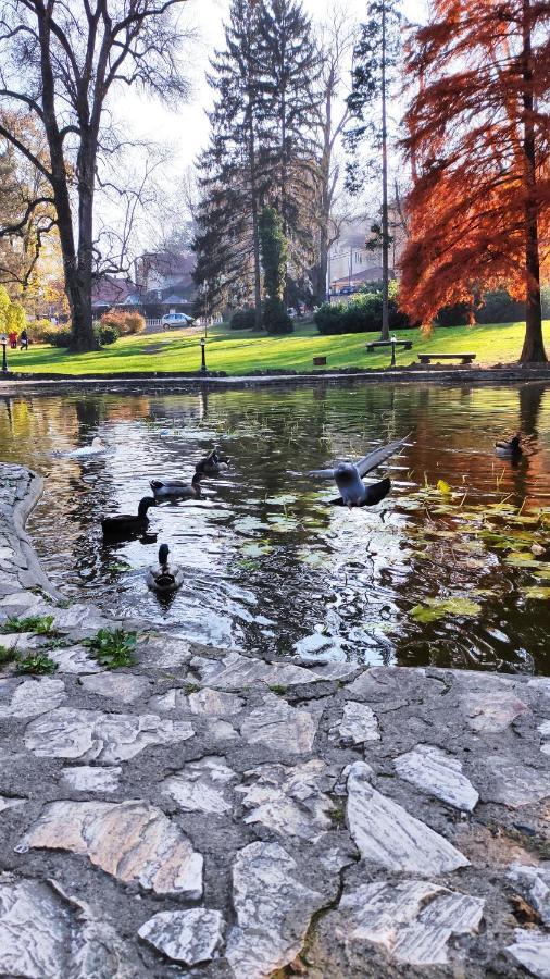Apartman Temida Lux Vrnjačka Banja Exteriör bild