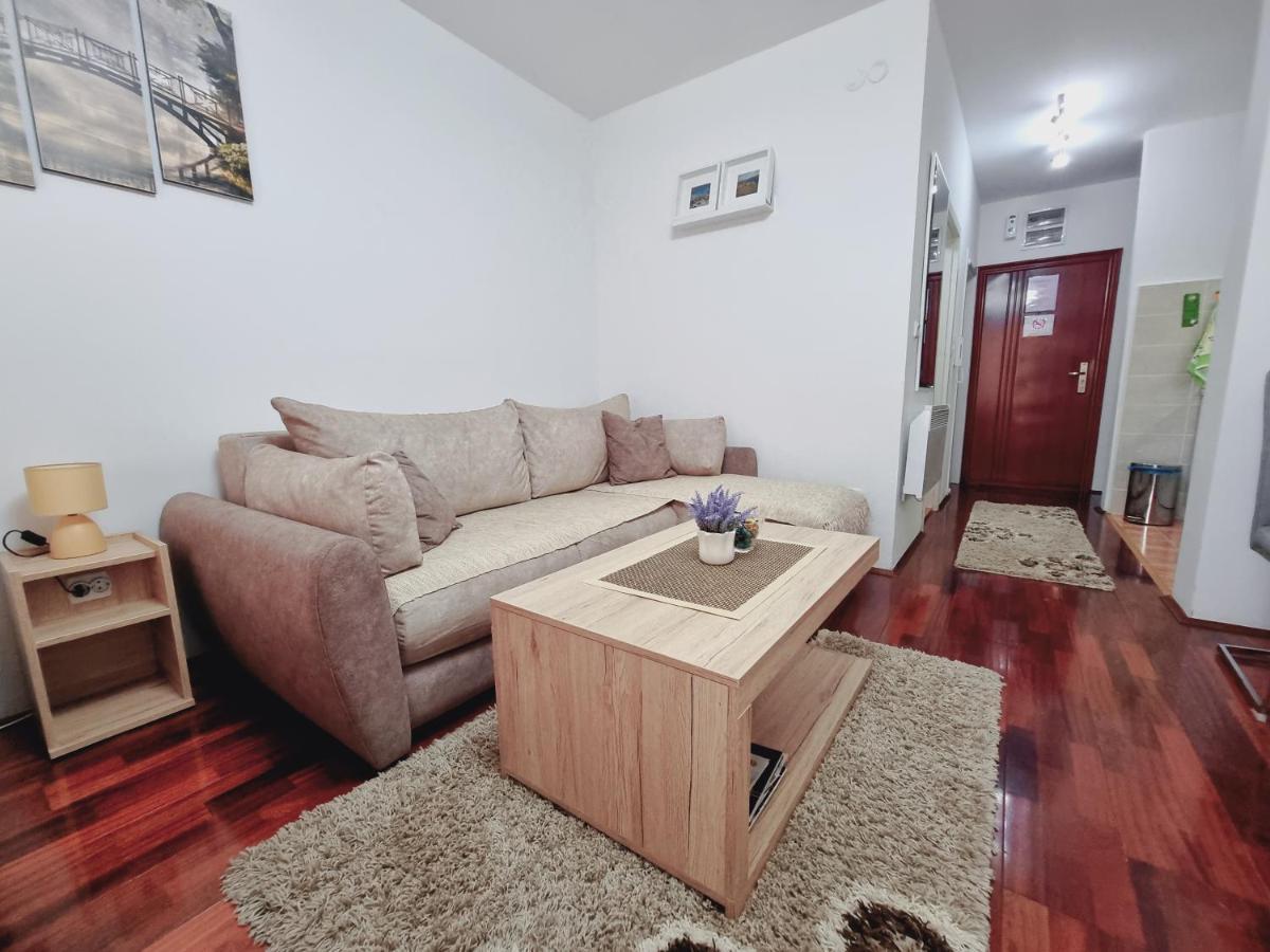 Apartman Temida Lux Vrnjačka Banja Exteriör bild