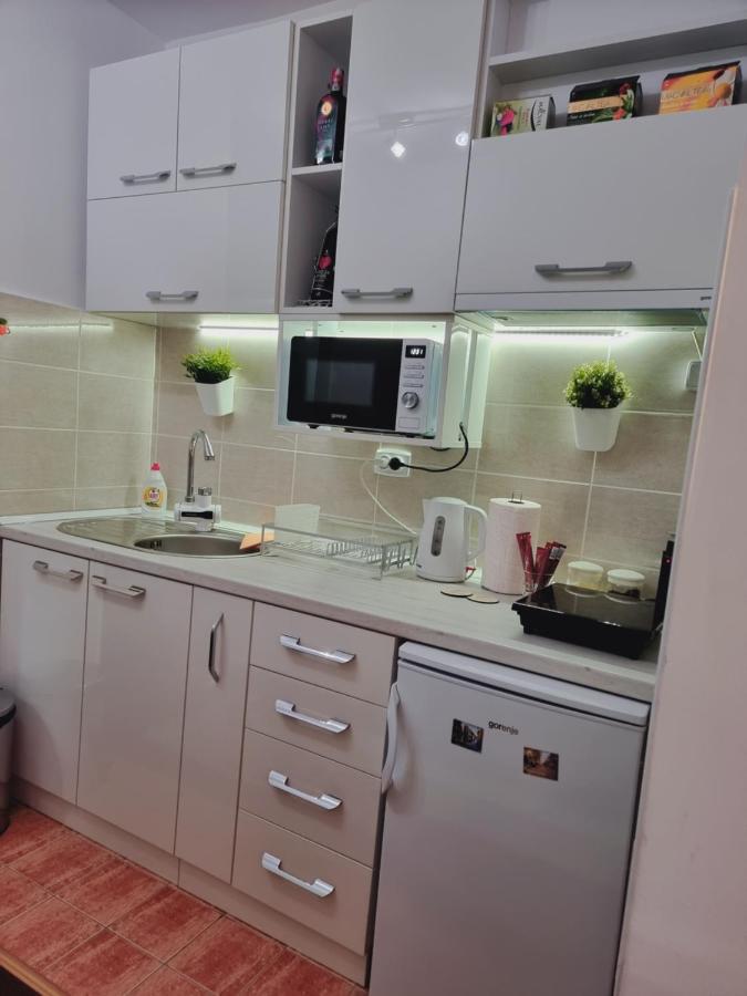 Apartman Temida Lux Vrnjačka Banja Exteriör bild