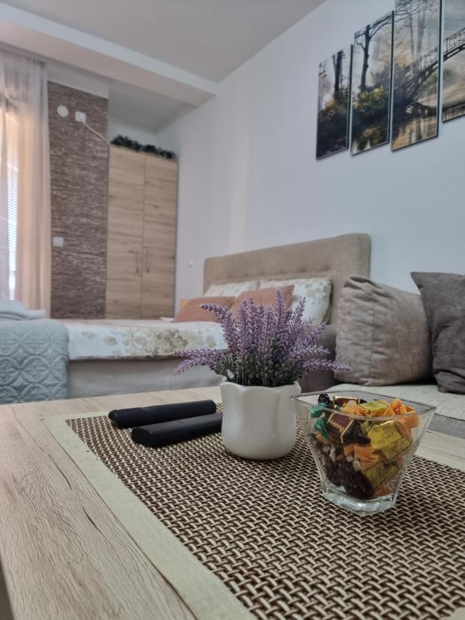 Apartman Temida Lux Vrnjačka Banja Exteriör bild